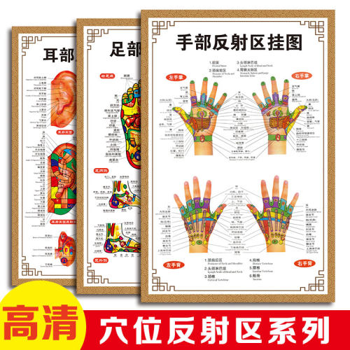 人体耳部全息图手足部反射区经络穴位图墙贴中医养生宣传海报2149