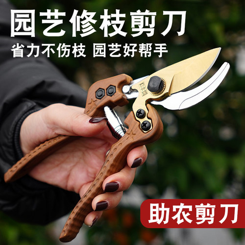 日本钢V2剪枝剪刀园林花艺修剪刀