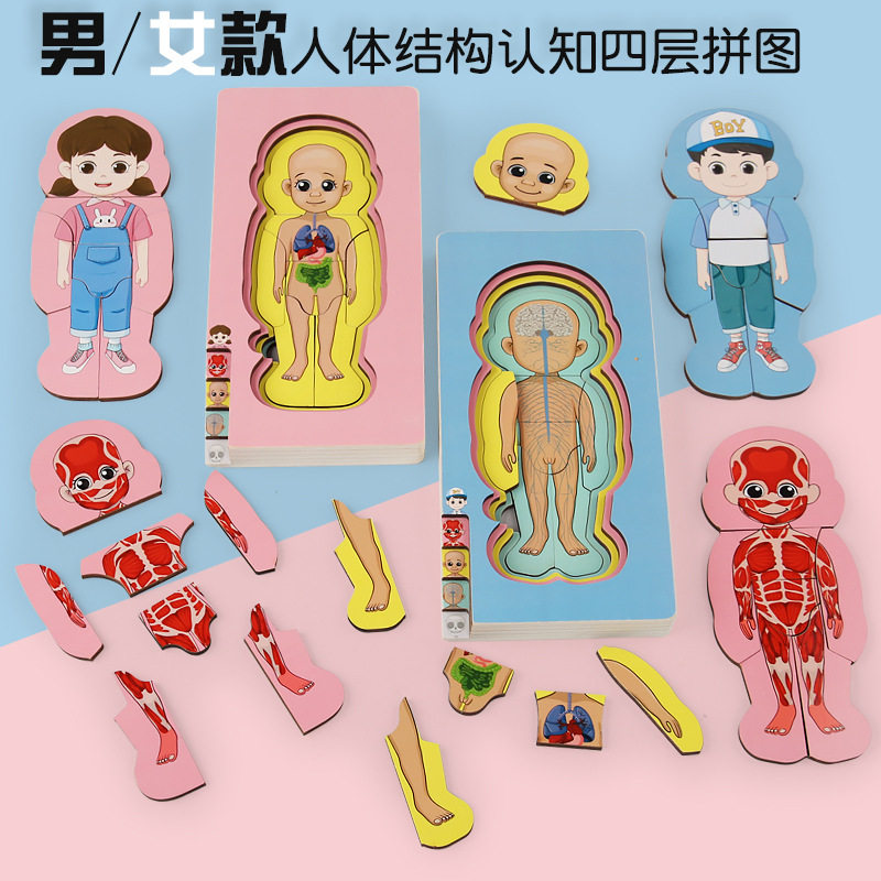 宝宝成长过程恐龙蘑菇动植物人物拼图积木嵌板木制智力玩具