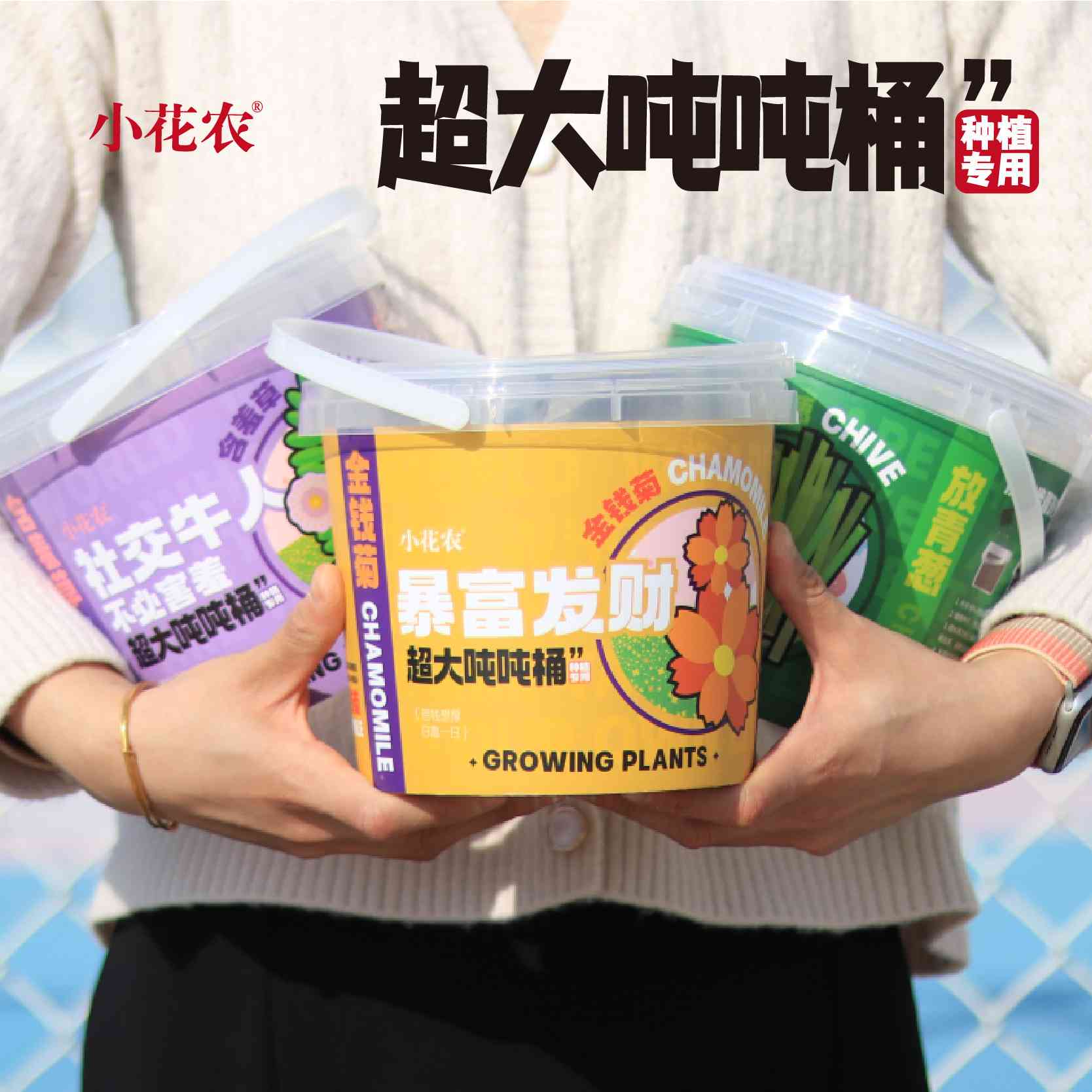 超大吨吨桶趣味种植小盆栽学生