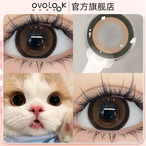 OVOLOOK布偶猫美瞳2023新款学生半年抛大直径隐形眼镜Z
