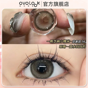 OVOLOOK芝麻团美瞳半年抛软糯楚楚可怜大小直径隐形眼镜正品官网Y