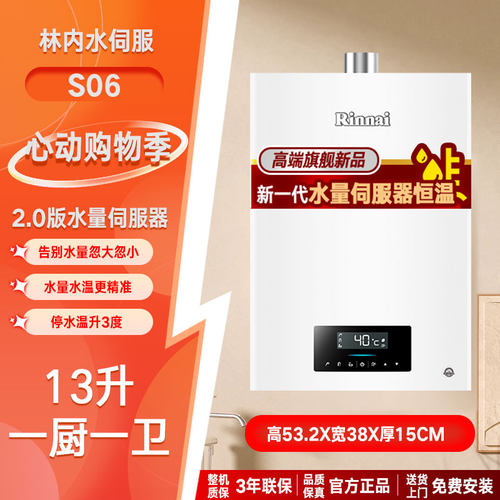 13升Rinnai/林内水量伺服器强排