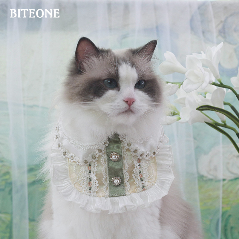 BITEONE 【小苍兰】法式猫宠物服装/雨衣（新