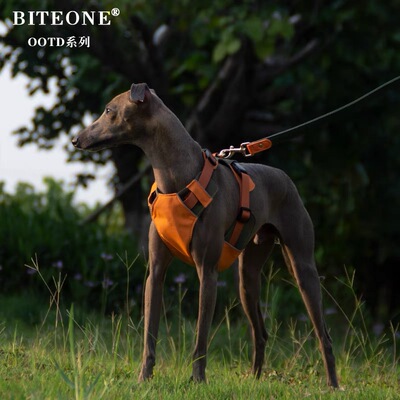 BITEONE 狗狗胸背带狗背带小型犬胸背狗绳牵引绳背心式狗狗牵引绳