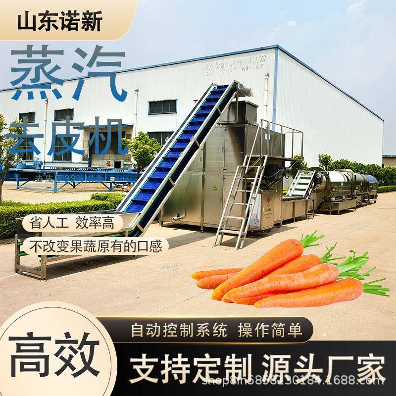 南瓜蒸汽去皮机 全自动芒果杏子土豆脱皮机 诺新科技