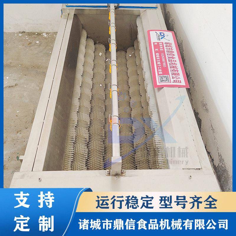 姜不辣毛刷清洗去皮机 不锈钢 毛刷清洗机 自动喷淋毛辊清洗设备