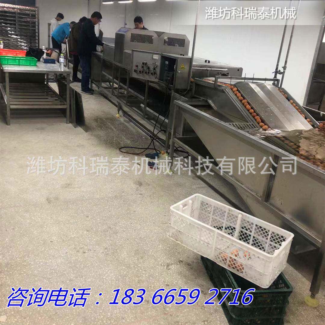 双排鸡蛋清洗机生产设备 大中小型蛋品清洗流水线生产厂家 洗蛋机