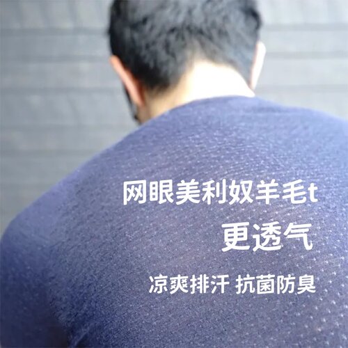 男士超轻速干网眼羊毛运动短袖