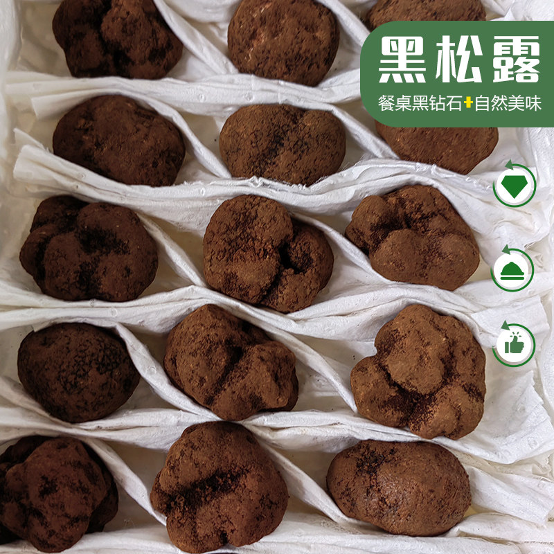 云南新鲜黑松露冬季野生菌250g