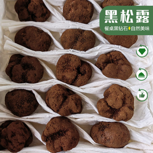 云南新鲜黑松露冬季野生菌250g
