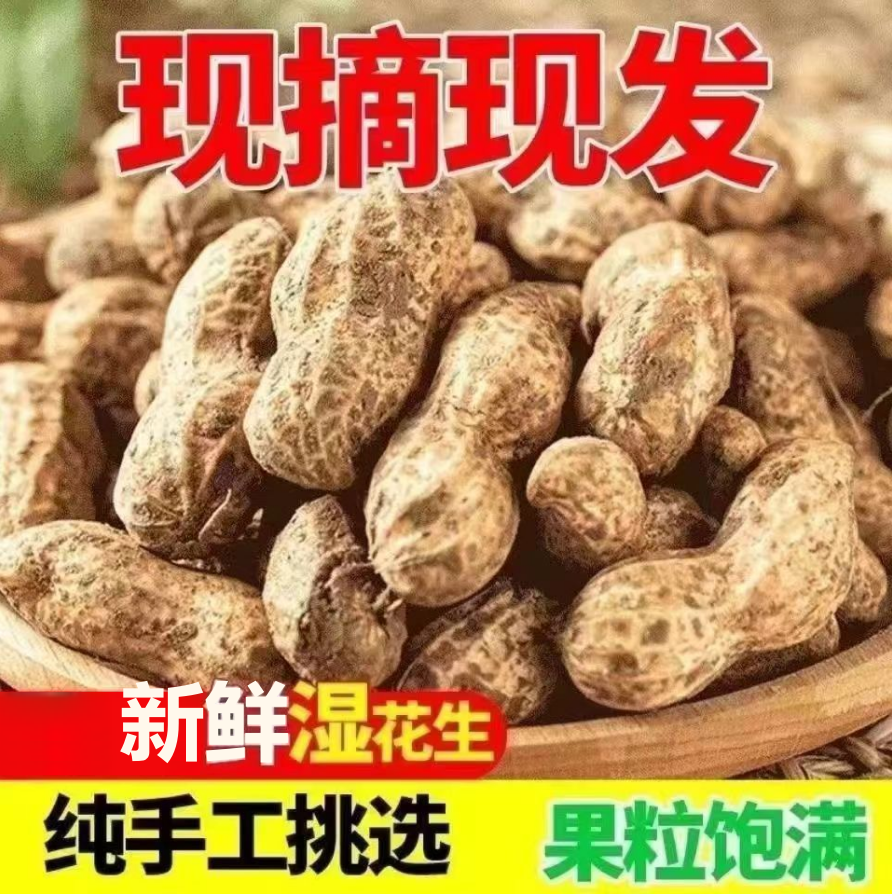 2024年新鲜花生带壳农家现挖现发当季的湿花生带泥粉皮水煮可包邮