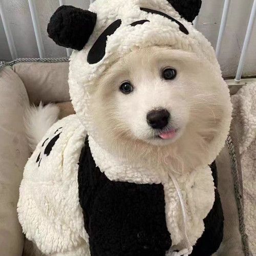 嘻皮安可爱小熊猫狗狗毛茸茸中大型犬萨摩耶边牧狗狗保暖衣