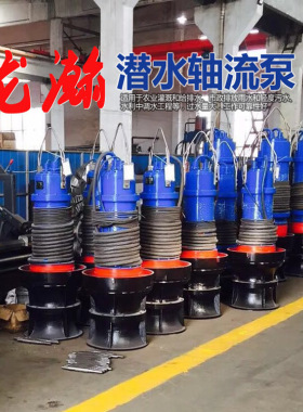 轴流泵 潜水轴流泵 QW350-500-700-1000大型提升泵站i污水轴流泵