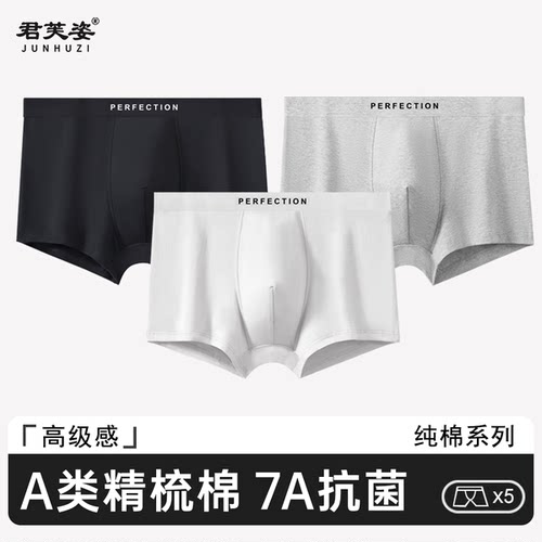 男士内裤纯棉男生2024新款A类棉