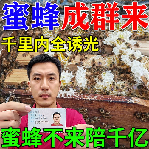 诱蜂液神器蜂蜡诱蜂信息素野外用诱蜂膏养蜜蜂中土蜂招蜂水引蜂王