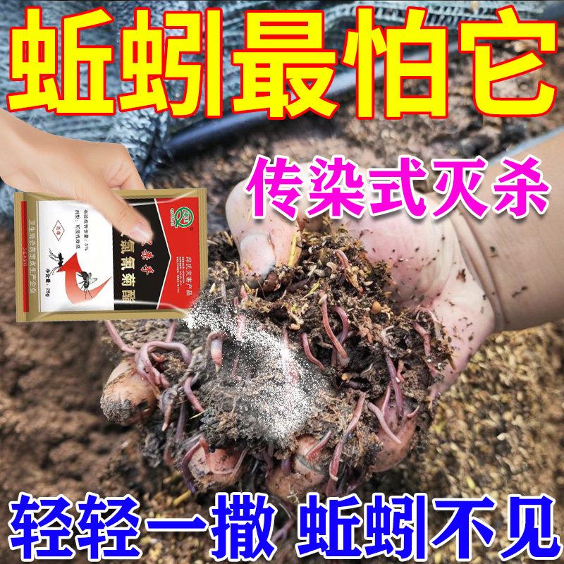 杀蚯蚓专用药红线虫杀虫剂厕所蛆虫灭蛆花盆菜园杀蚂蚁鼠妇蛴螬粉