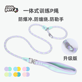COOLPETS狗狗p绳p链狗狗牵引绳中大型犬防爆冲防打结防勒手训犬绳