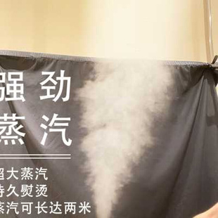 麦尔蒸汽挂烫机服装 店专用商用大功率大蒸汽立式 电熨烫斗普利P