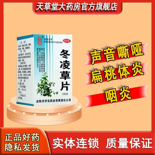 安灯 冬凌草片 0.25g*100片 咽喉肿痛声音嘶哑扁桃体炎咽炎