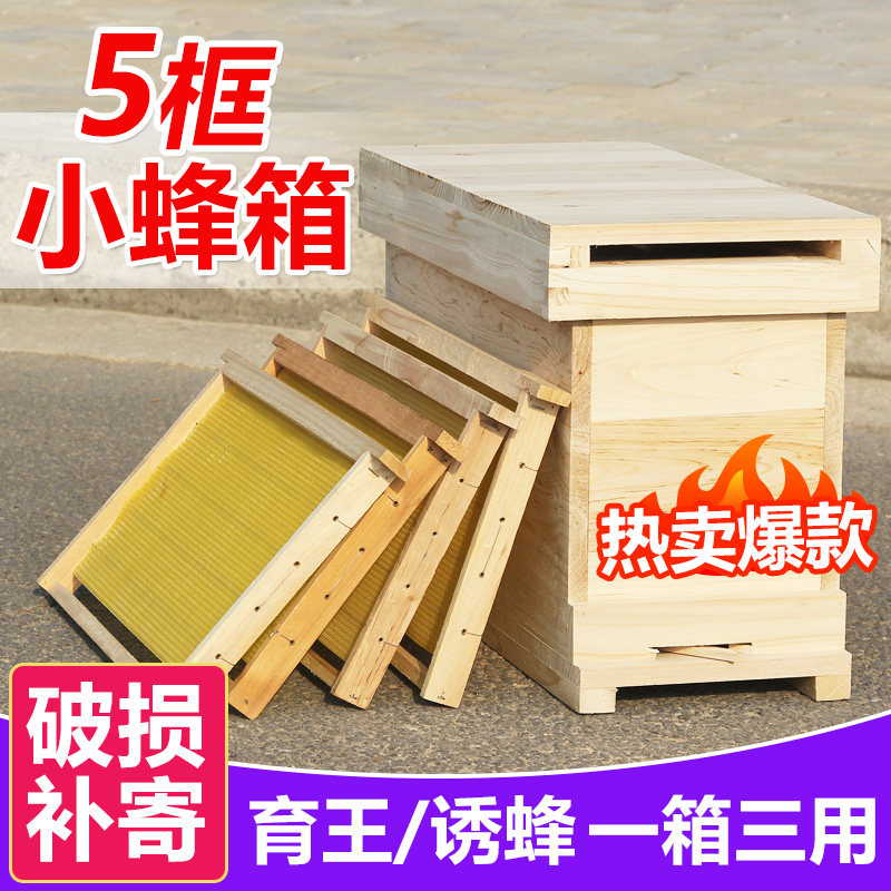 育王箱五框中蜂箱土蜂