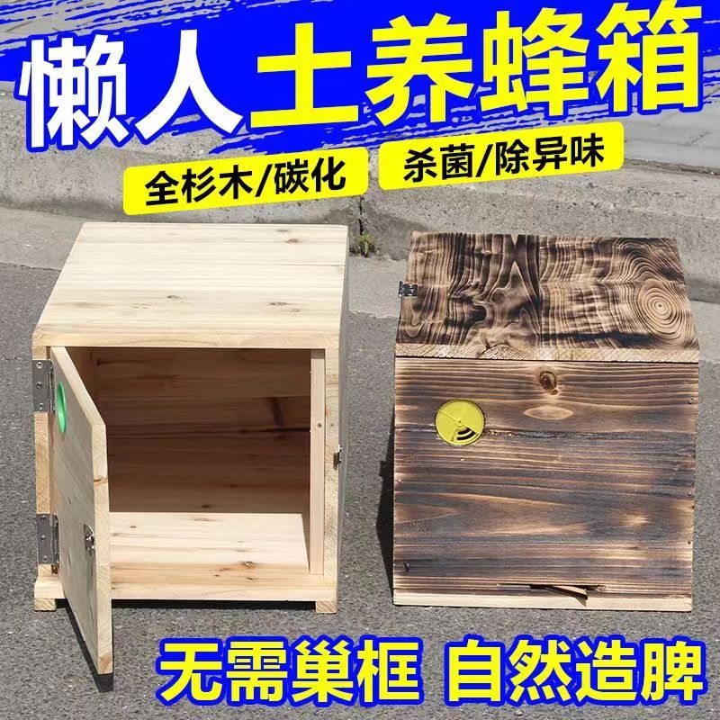 沉盖式碳化蜂箱中蜂专用