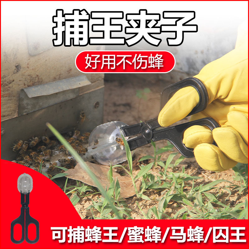 蜜蜂捕王器捕捉蜂王专用捕王夹新型剪刀式蜂王器囚王笼标记蜂王