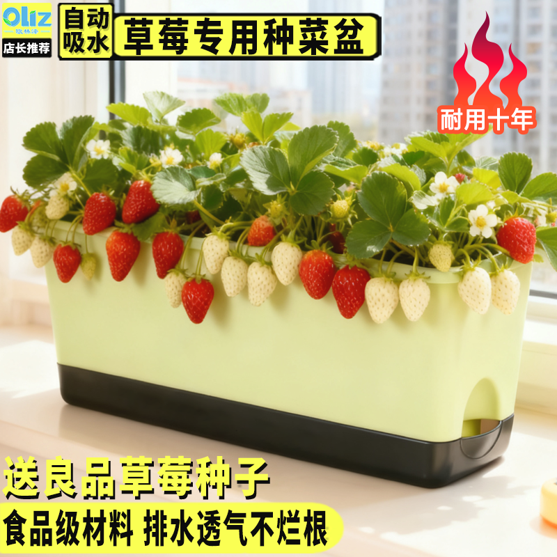 阳台专用盆草莓盆种菜盆种菜栽长方形蔬菜种植盆户外树脂花盆加厚