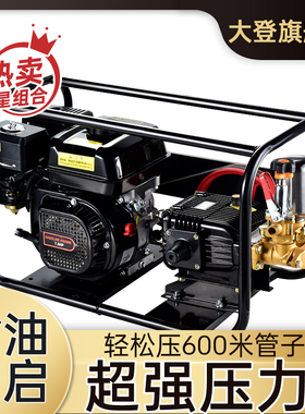 汽油高压打药机柴油机农用机动喷雾器直连泵果树打农药消毒喷洒器