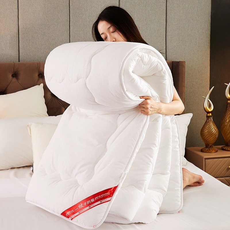 2023磨毛压花冬被春秋被宾馆酒店被 被子被芯 150x200cm4斤 白色