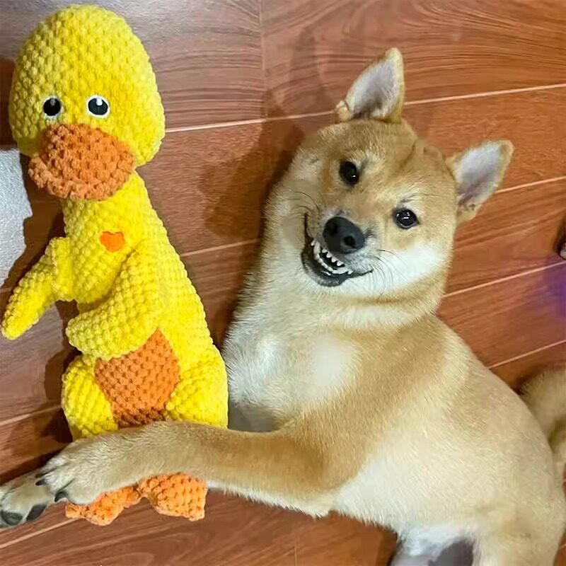 狗狗玩具陪伴玩偶耐咬大型犬泰迪幼犬小狗金毛比熊宠物狗发声玩具