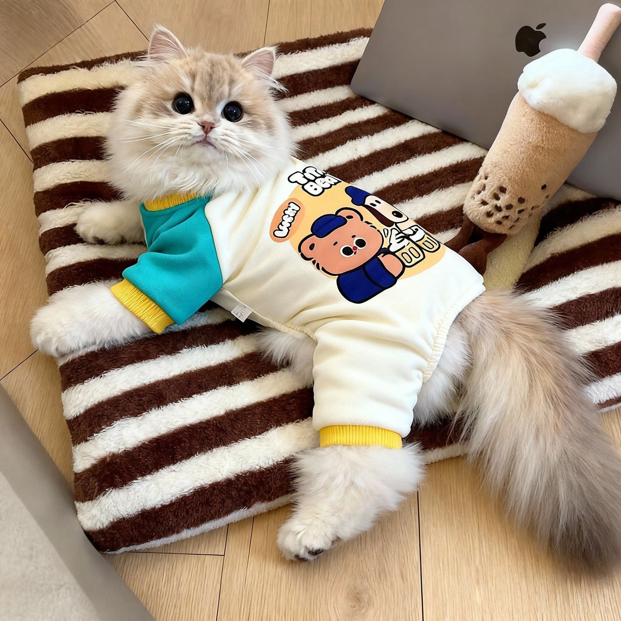 猫咪衣服秋冬装小猫布偶英短泰迪狗狗棉衣加厚保暖四脚衣防掉毛