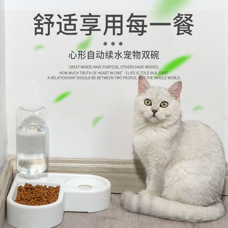 猫咪自动饮水器猫碗狗碗宠物
