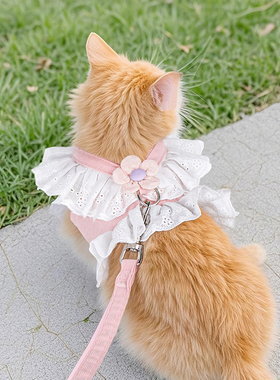猫咪牵引绳胸背带JK小花可调节背心式防挣脱金渐层英短银宠物衣服