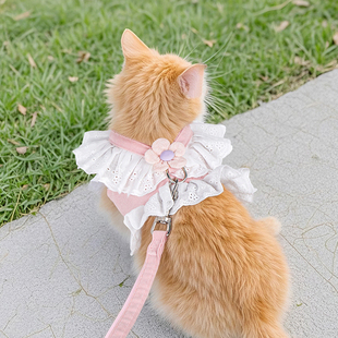 猫咪牵引绳胸背带JK小花可调节背心式防挣脱金渐层英短银宠物衣服