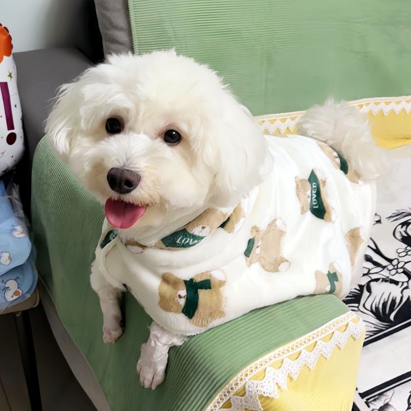 狗狗披风斗篷秋冬季保暖连帽