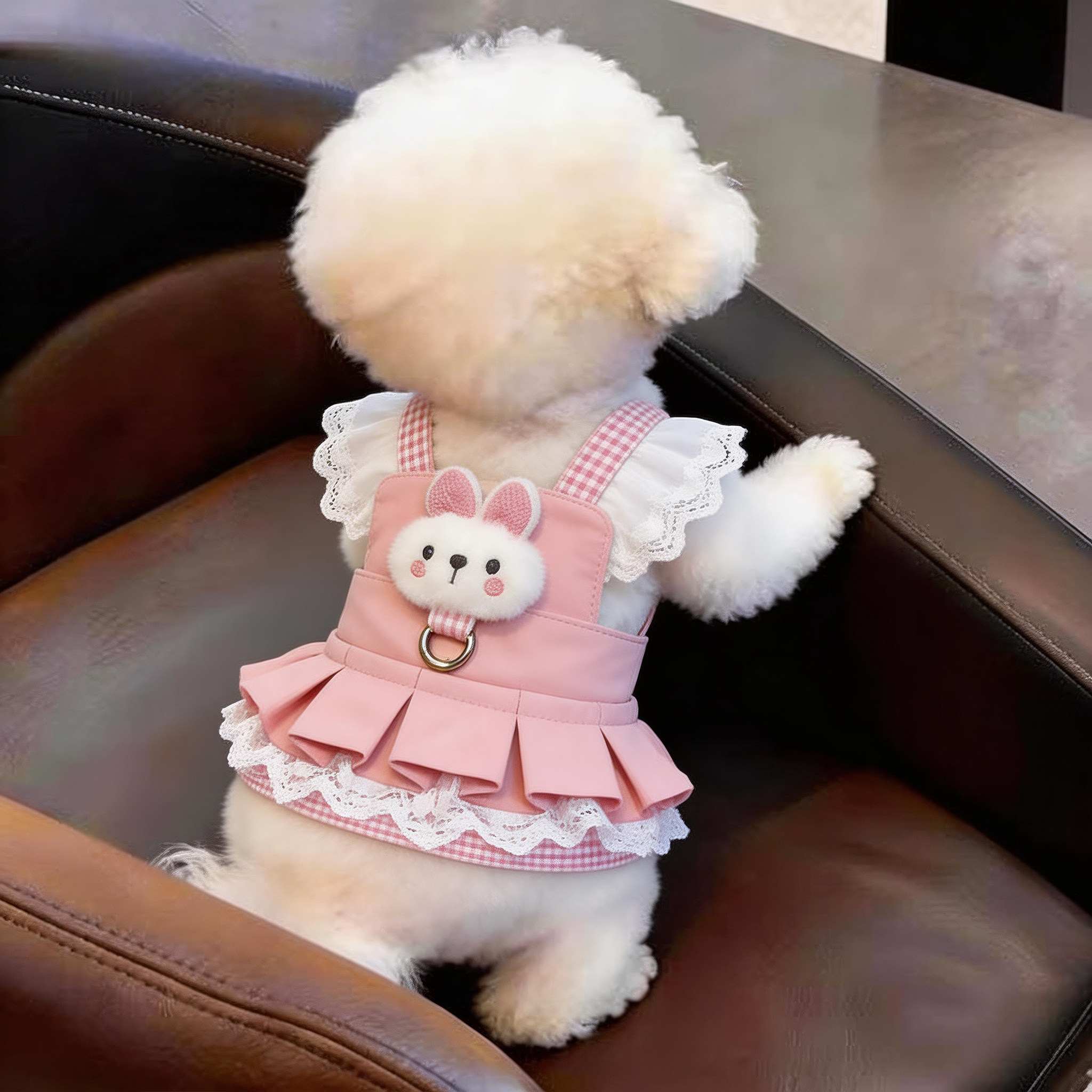 狗狗衣服夏季薄款裙子泰迪比熊雪纳瑞小型犬猫咪公主裙可牵引宠物图片