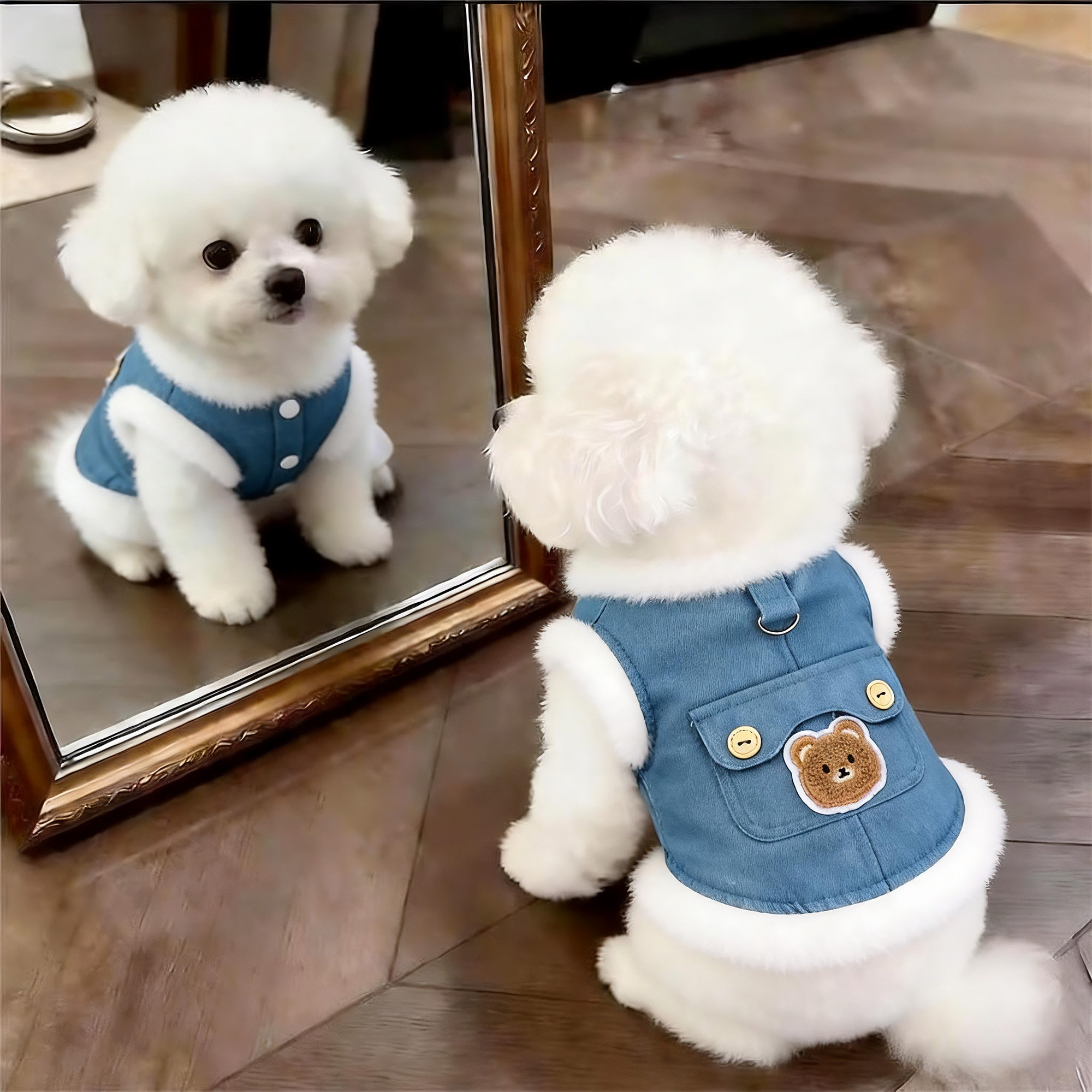 狗狗衣服秋冬款牛仔小熊马甲泰迪比熊小型幼犬加厚宠物棉衣可牵引