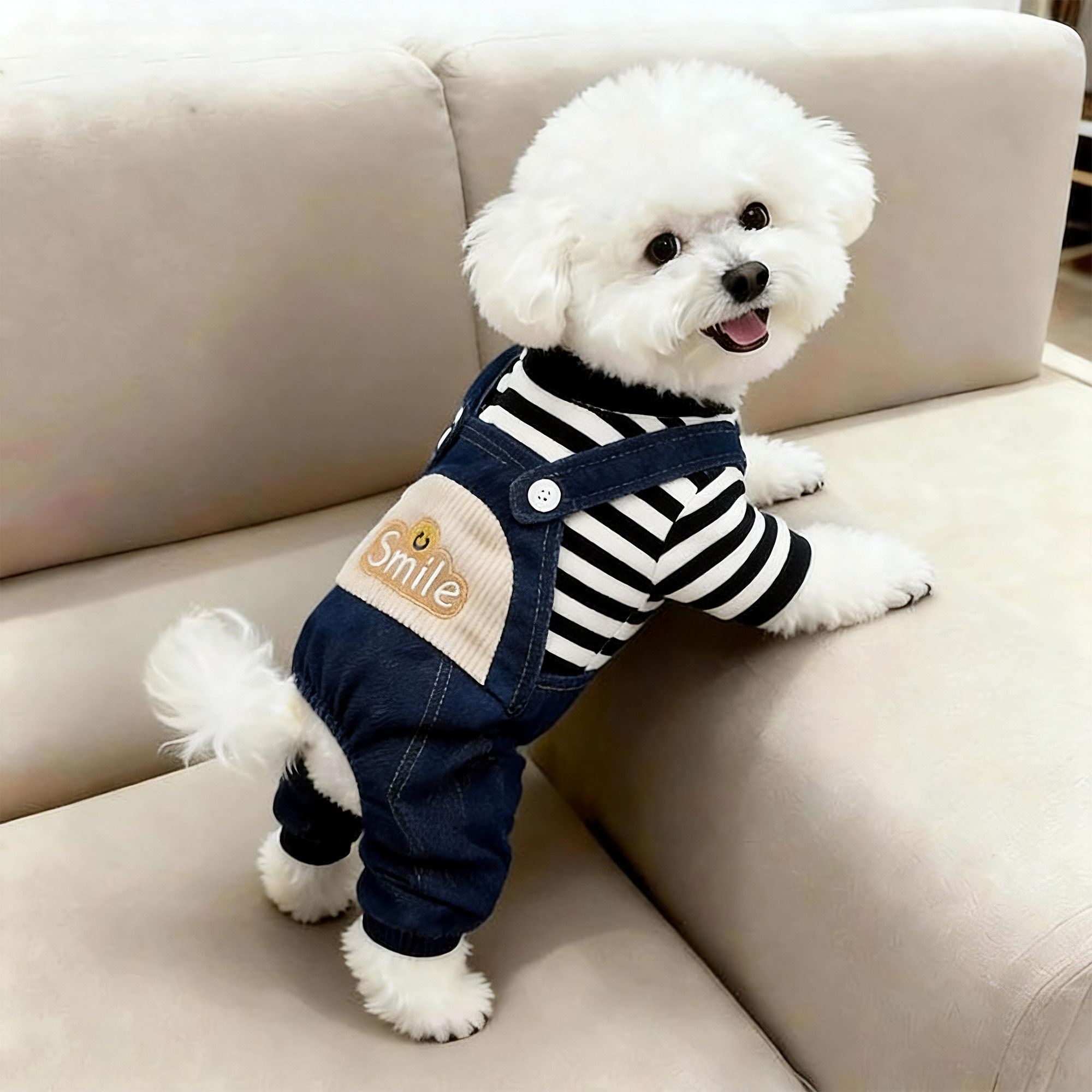 狗狗衣服秋冬款牛仔假两件泰迪比熊雪纳瑞小型幼犬保暖宠物四脚衣