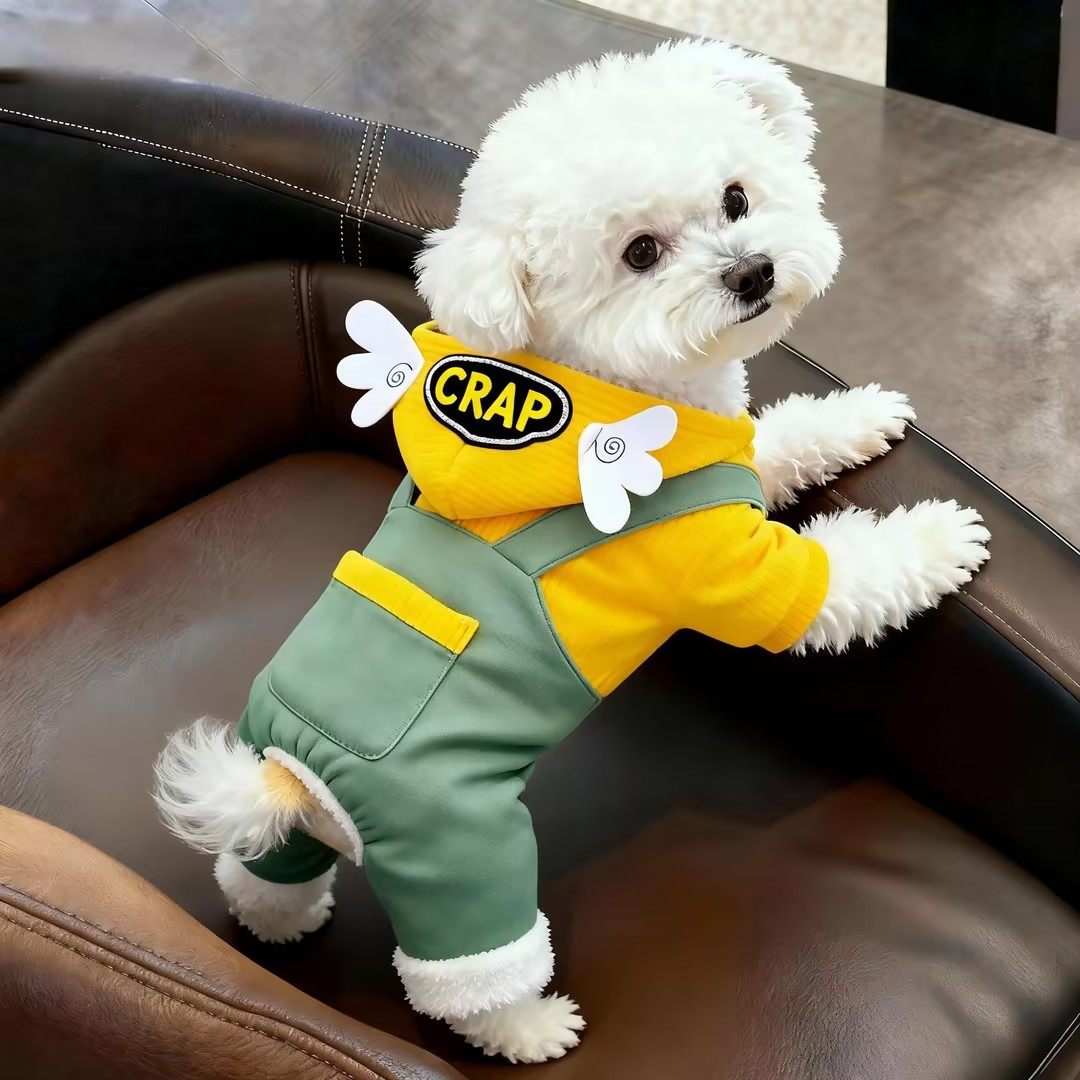 狗狗衣服秋冬款冬季加厚泰迪博美比熊小型犬猫咪宠物冬天四脚衣服