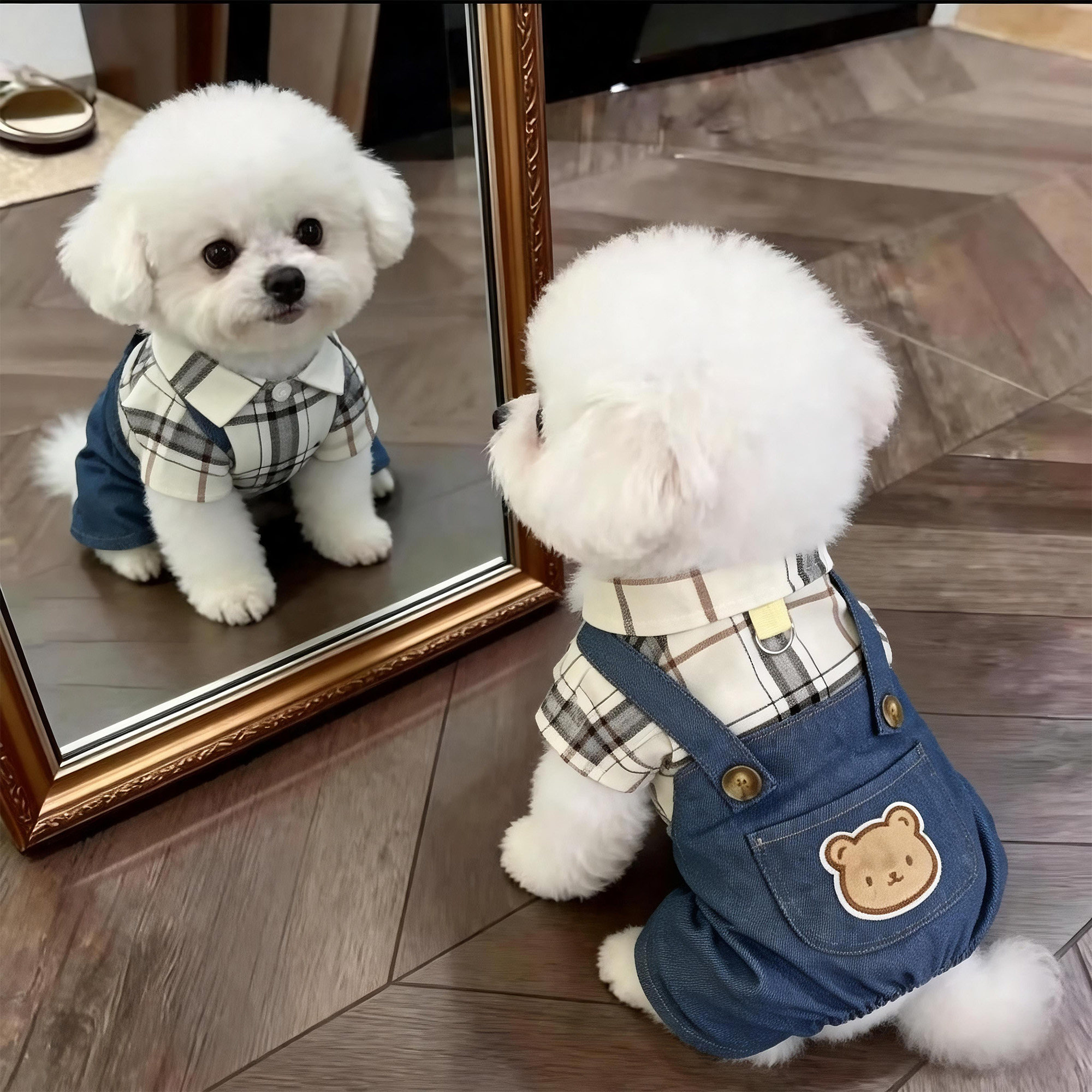 狗狗衣服夏季薄款背带裤泰迪比熊雪纳瑞小型犬春秋装可牵引四脚衣