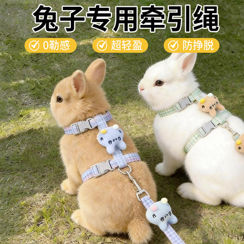 兔兔牵引绳溜兔绳防挣脱遛兔子神器小白侏儒兔专用外出兔绳可调节