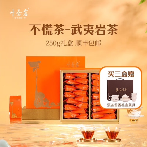叶嘉岩不慌茶武夷岩茶250g