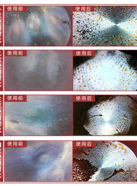 小白羊血色浪漫燃油添加剂汽油添加剂燃油宝清洁祛除积碳单瓶装