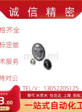 SP40B21-N/S-14/15/16/17/18/19/20/22/24/25/28/30/32/35/40链轮