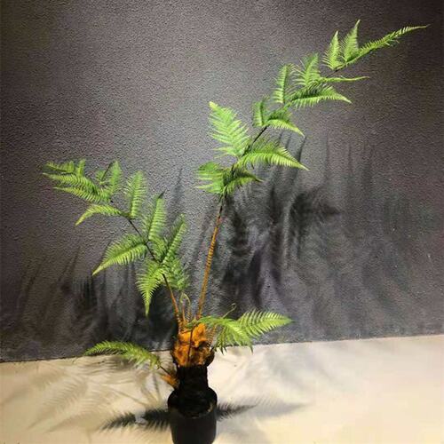 仿真绿植金丝猴蕨软装室内植物 客厅摆件金毛狗蕨盆栽假树绿植