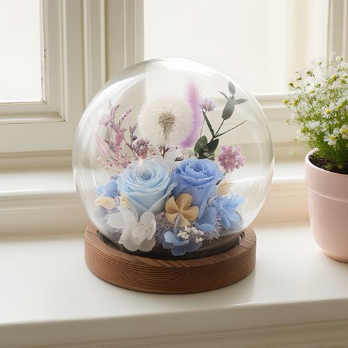 永生花球形玻璃罩摆件七夕情人节礼物玫瑰花成品 永生花工艺