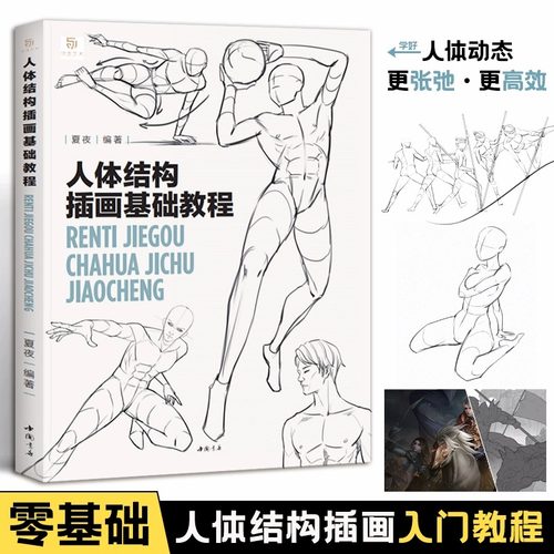 夏夜人体结构插画基础教程