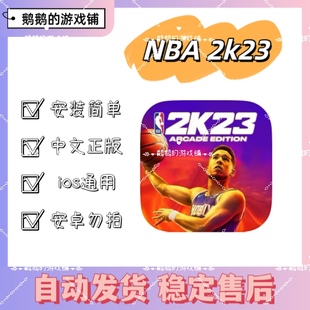 NBA 中文正版 手游ipad游戏Arcade订阅 2k24
