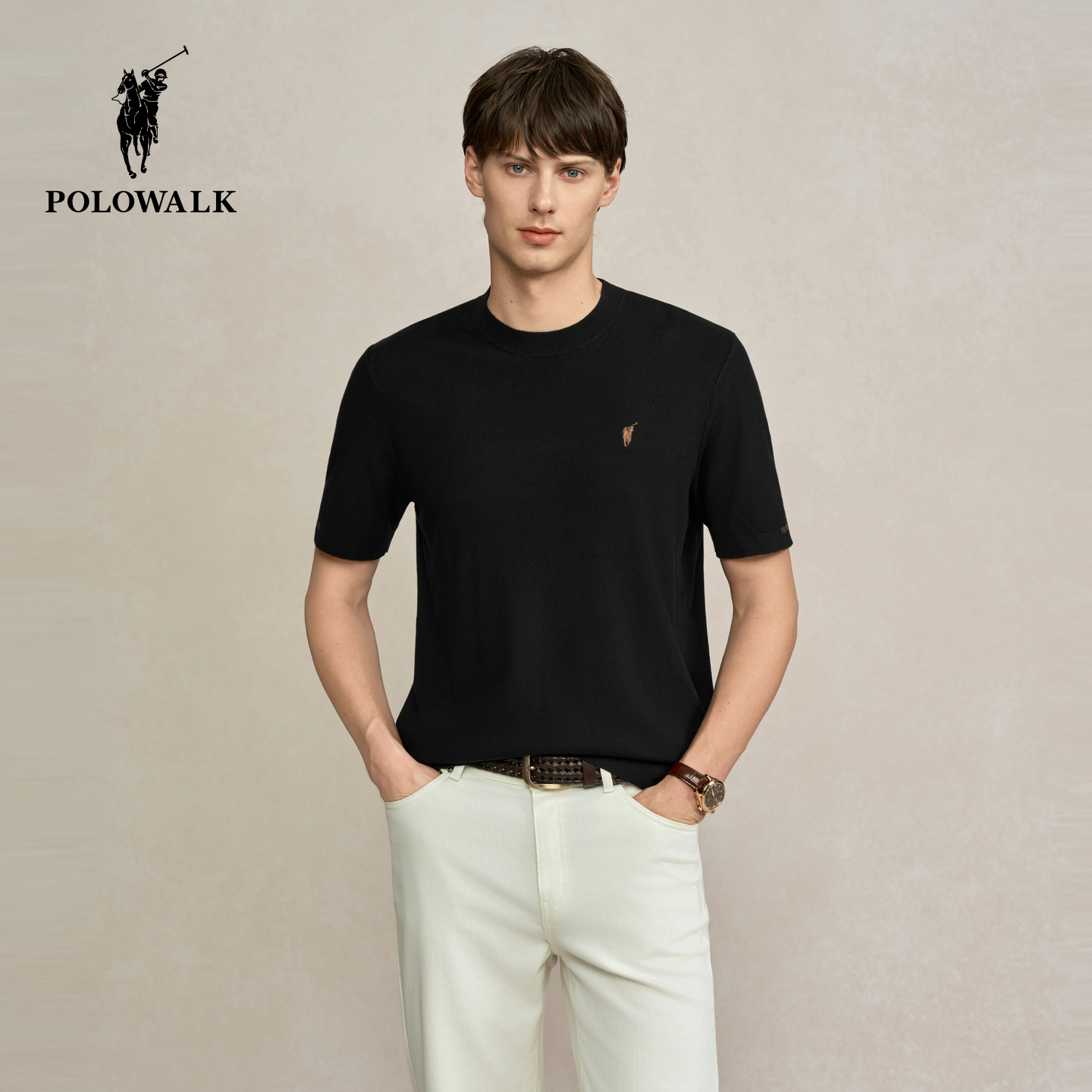 POLOWALK男式短袖针织衫2025秋季新品简约时尚圆领百搭针织T恤男